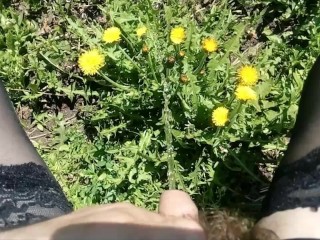 t-girl in stockings walks in nature and pisses on dandelions